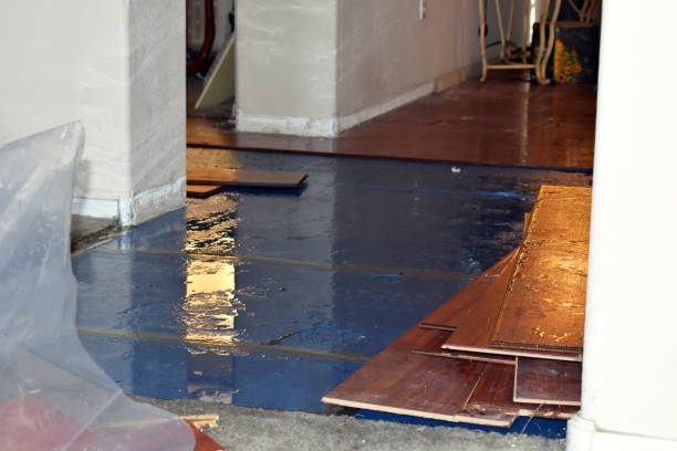 Professional Burst Pipe Water Damage technician working in Rice, WA